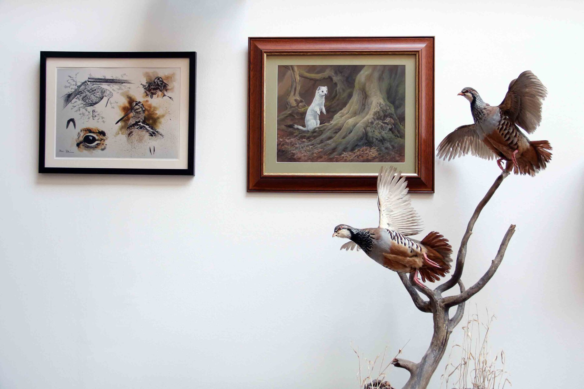 vadaszutak-galéria1