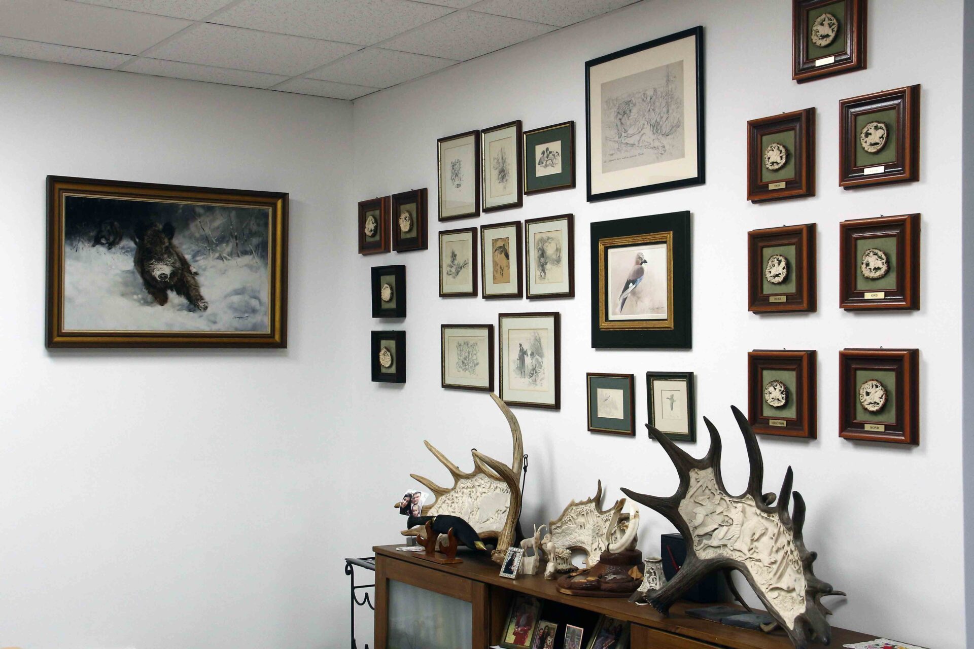 vadaszutak-galéria3