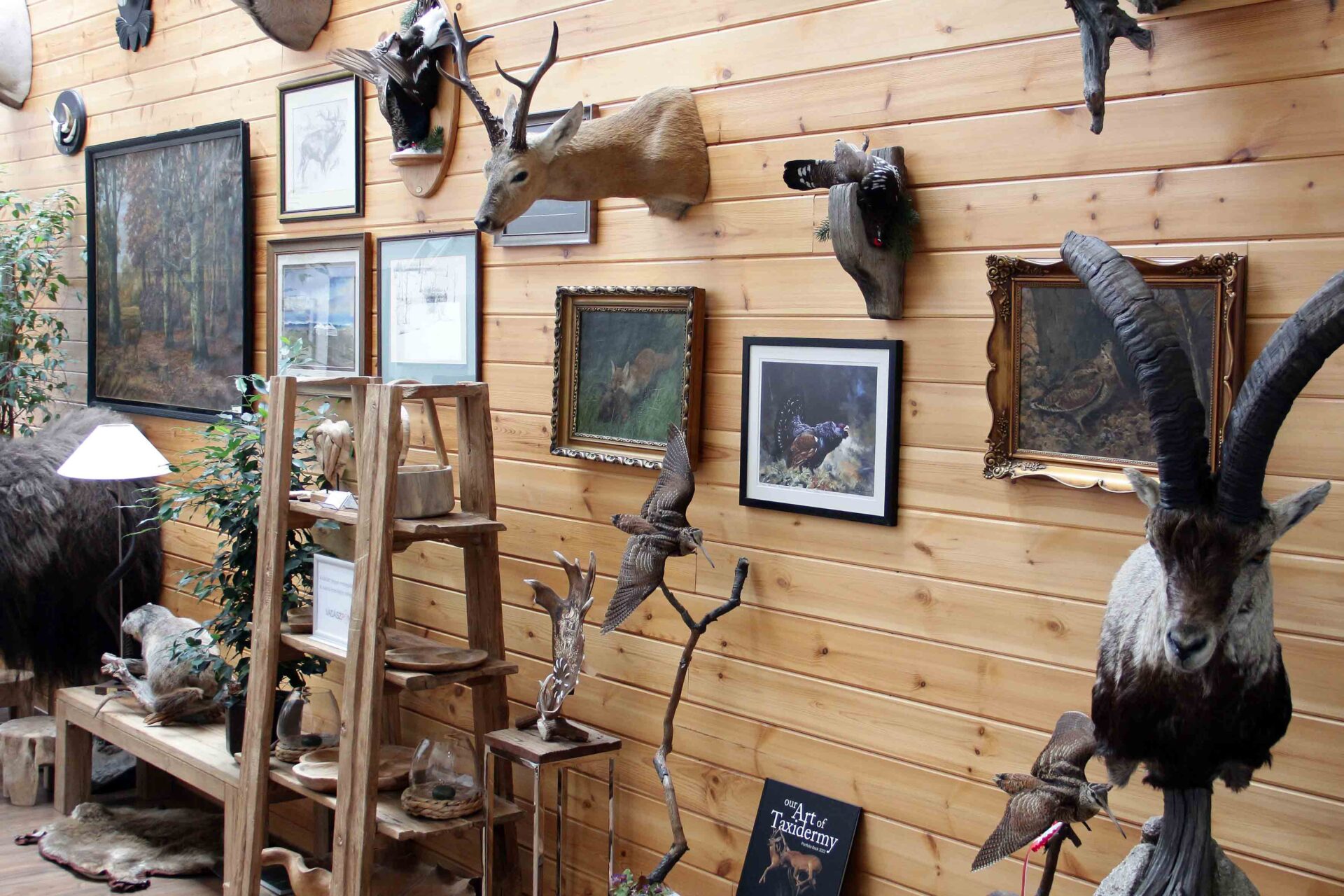 vadaszutak-hangulat-iroda