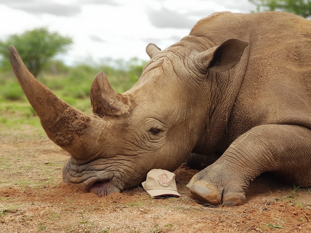 Vadászat Namíbiában