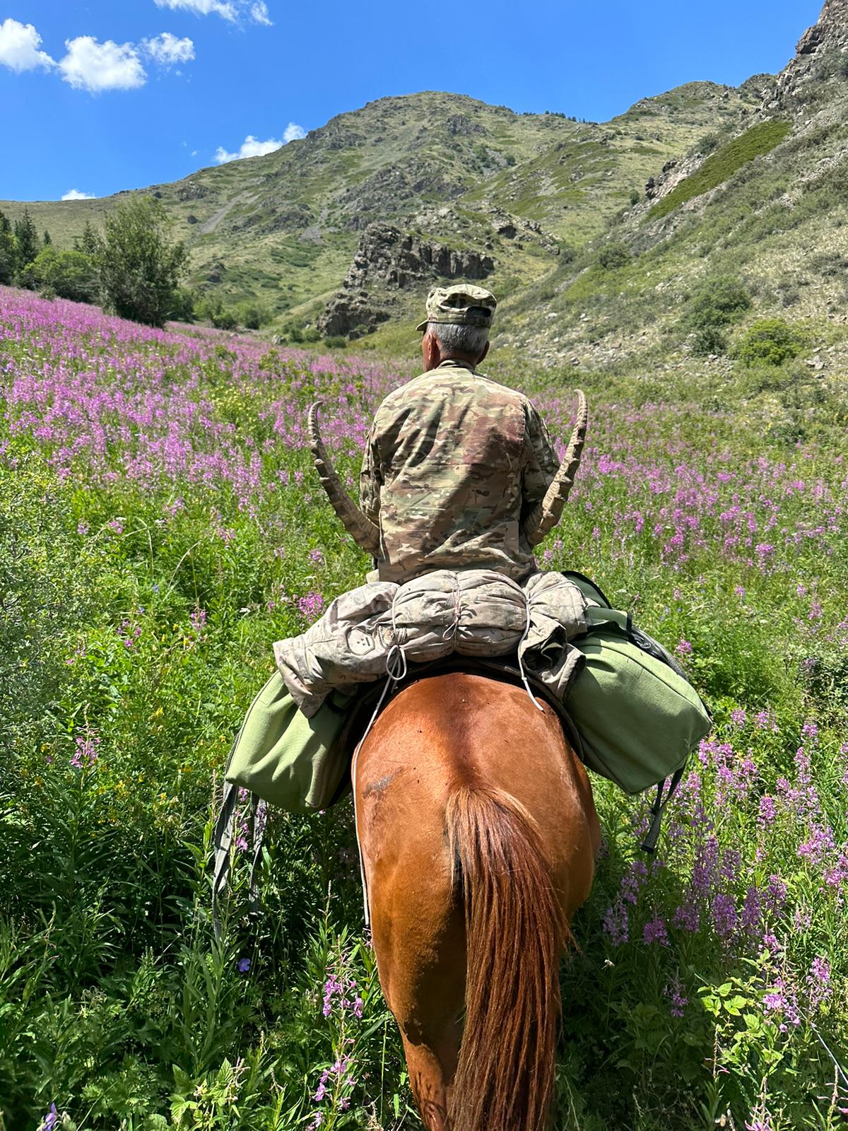 Kőszáli kecske vadászat Kazahsztánban