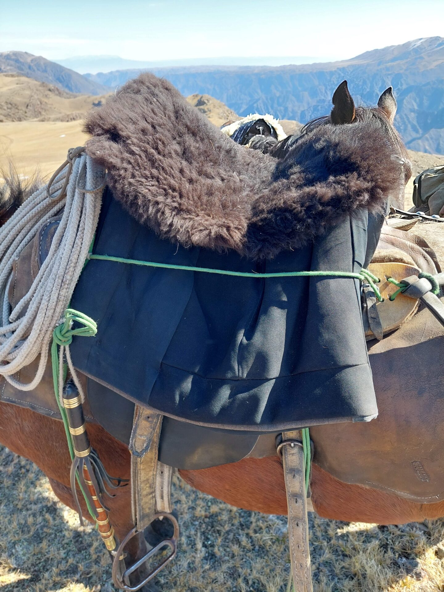 Kazahsztán, vaddisznó vadászat