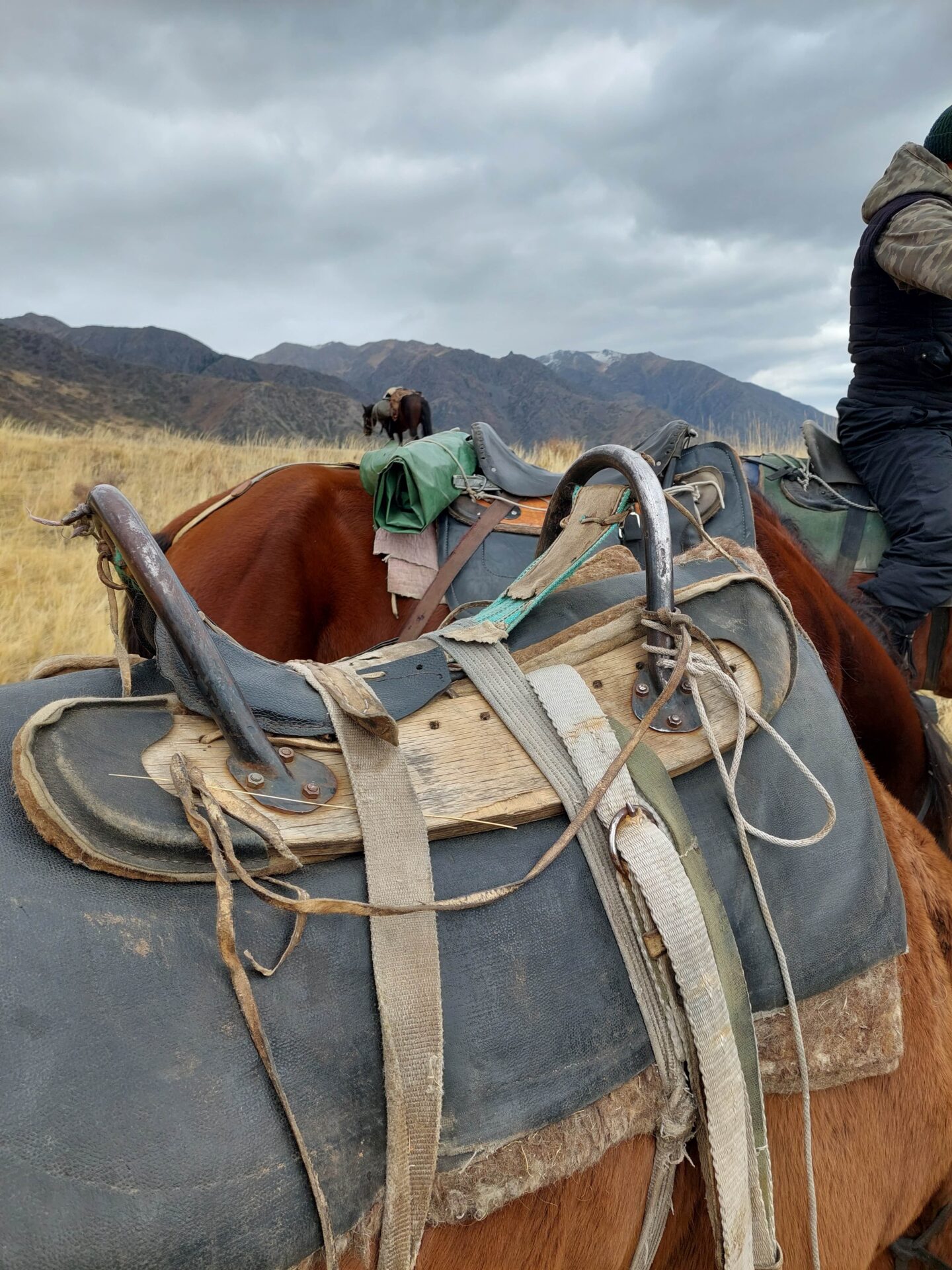 Kazahsztán, maral vadászat