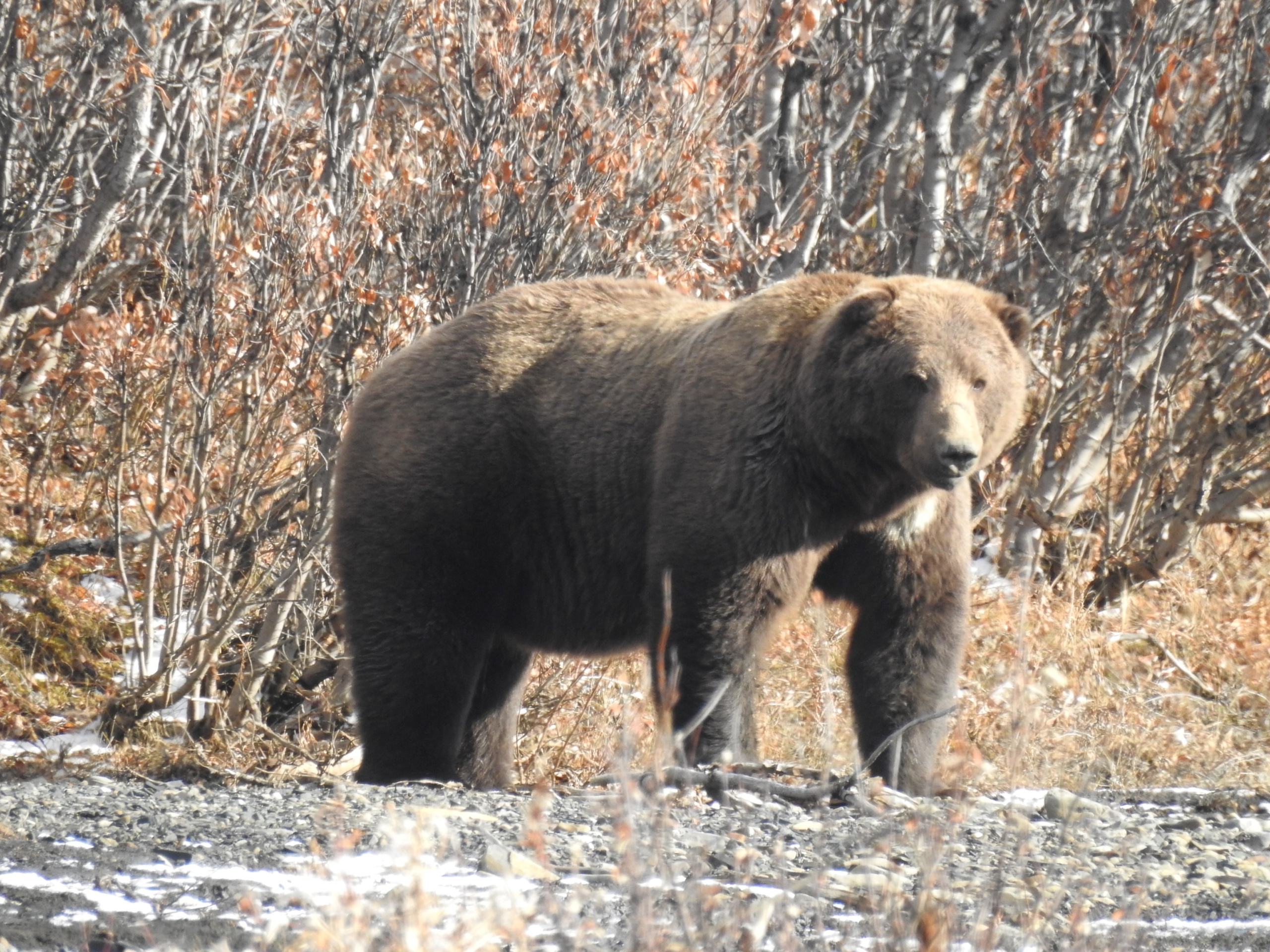 Vadászat Kanadában
