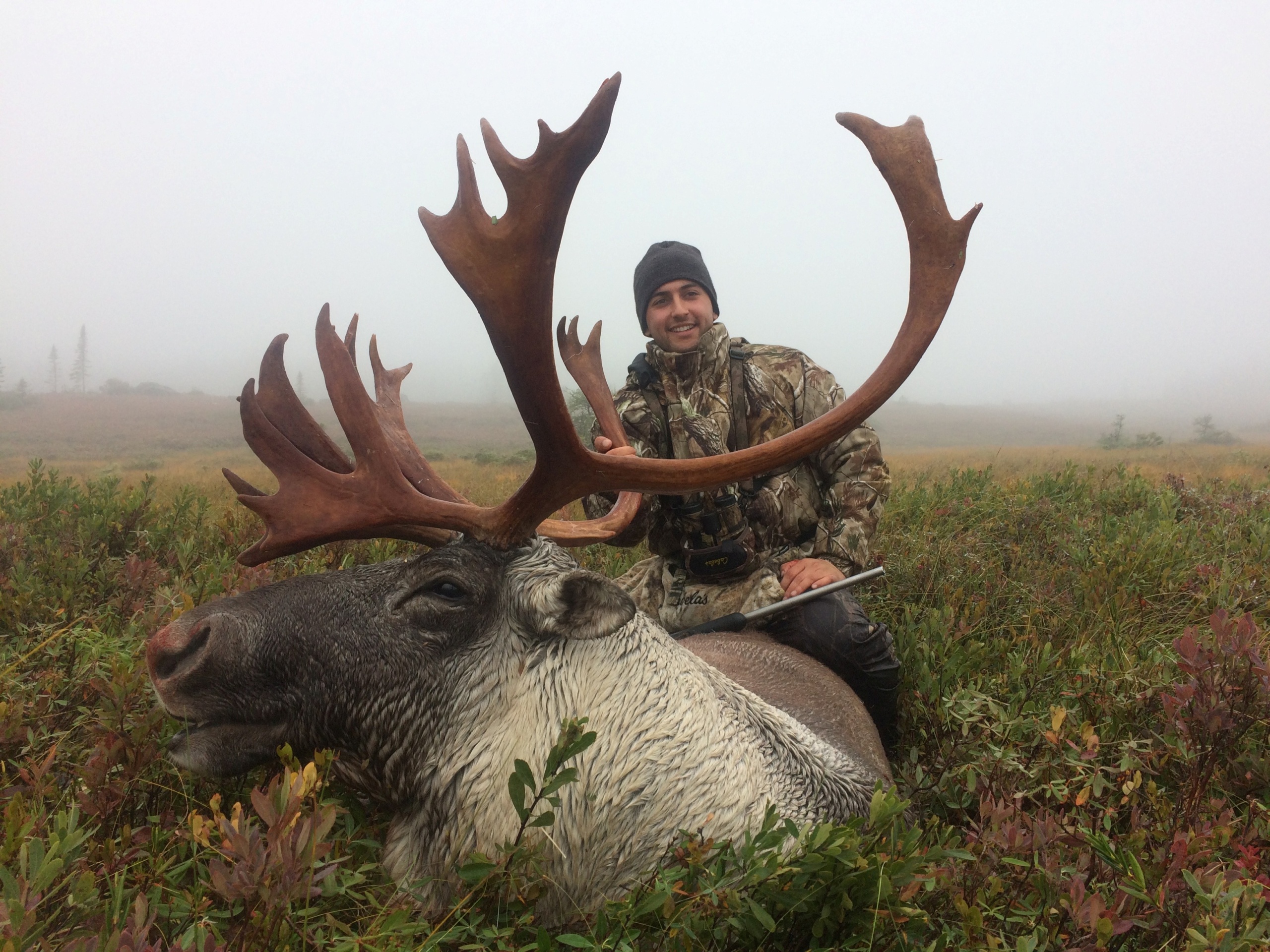 Erdei karibu vadászat