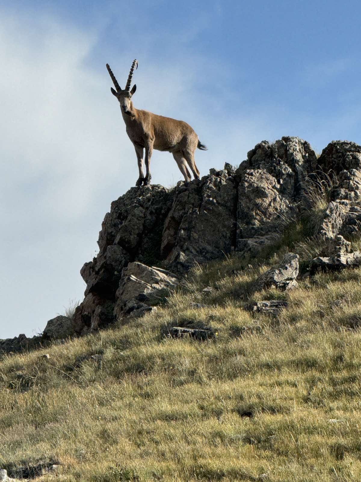 Kazahsztán vadászat