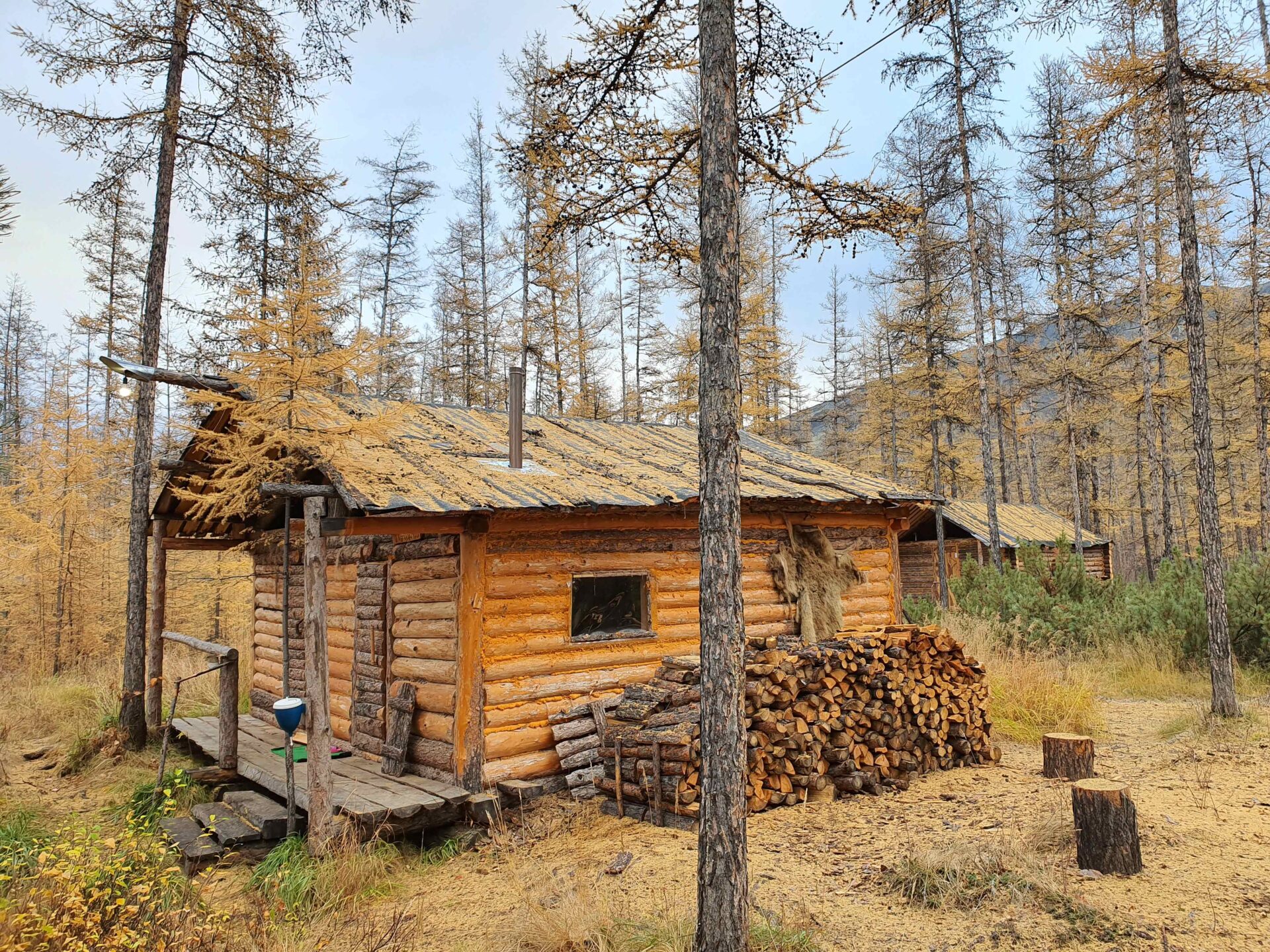 Oroszország, Magadan, jávorszarvas vadászat