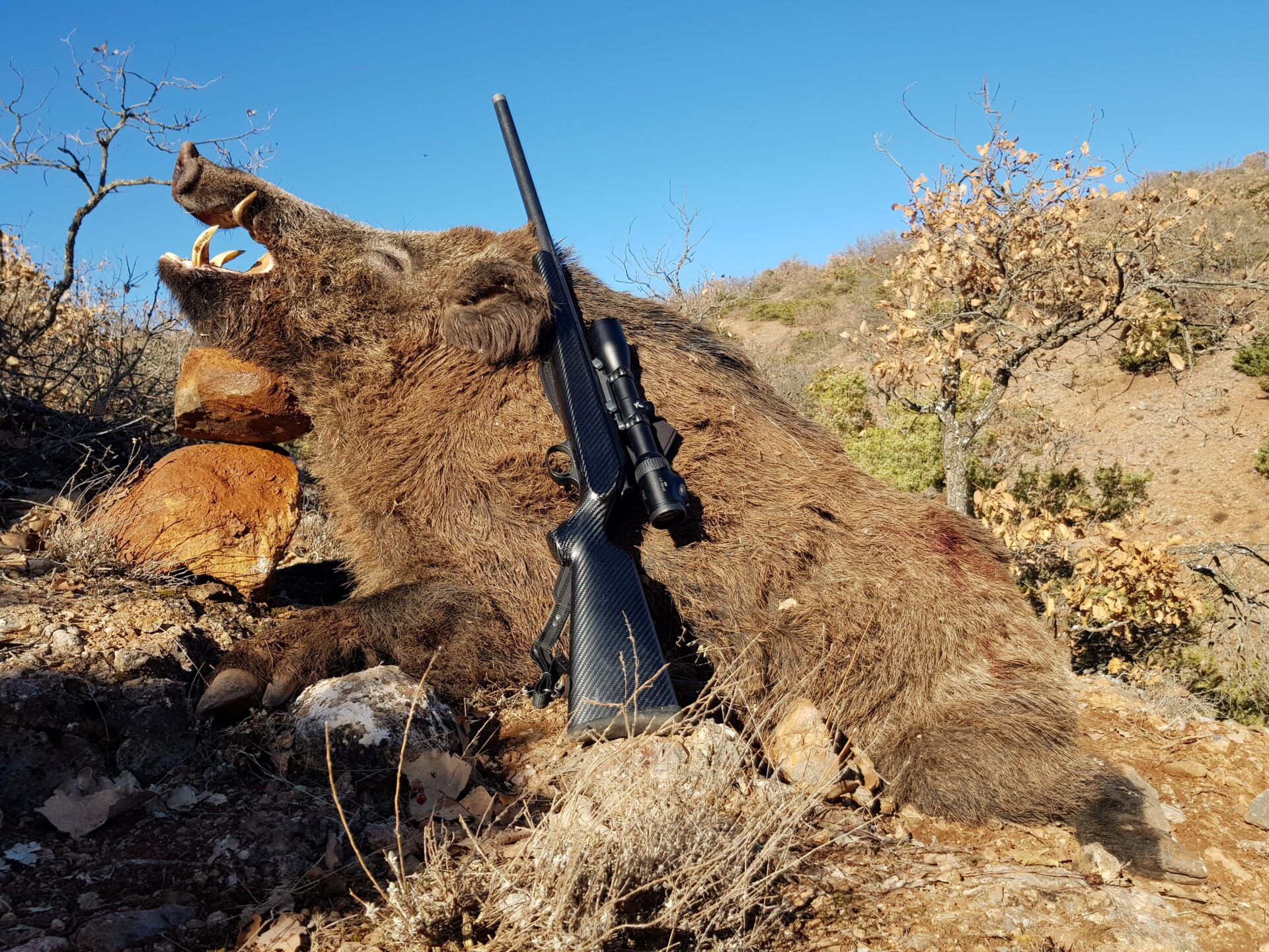 Törökország vaddisznó vadászat