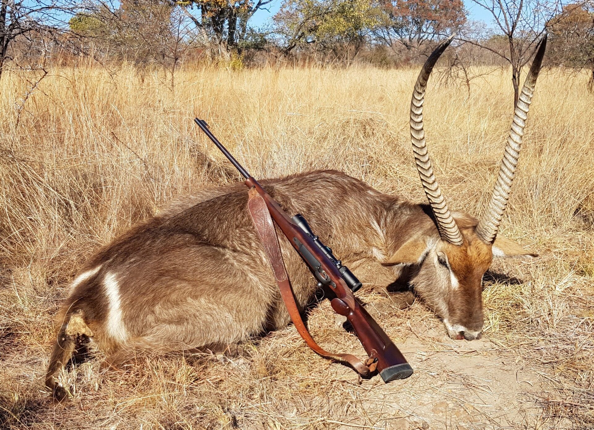 Szabad területi vadászat Dél-Afrikában