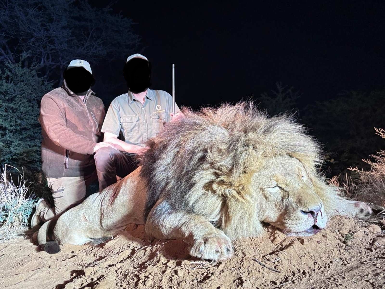 Dél-Afrika oroszlán vadászat