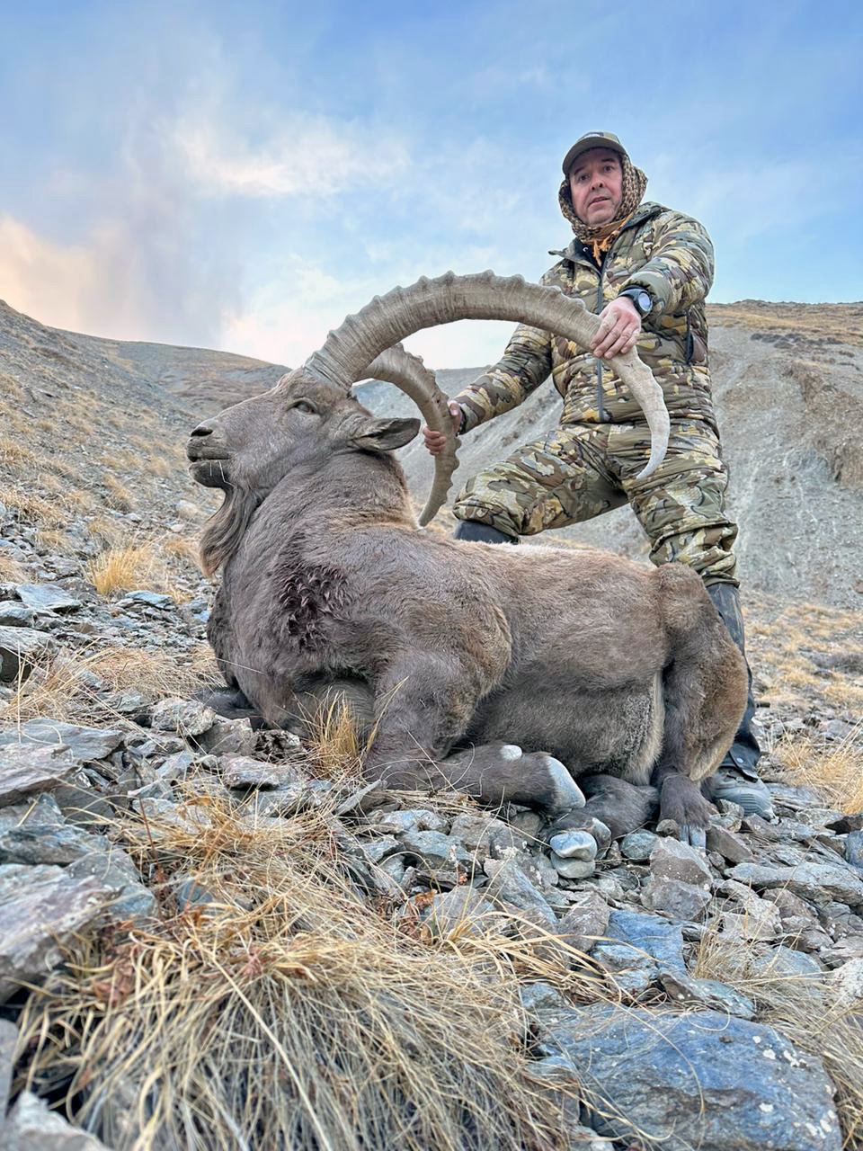 Kirgizisztán Kőszáli kecske