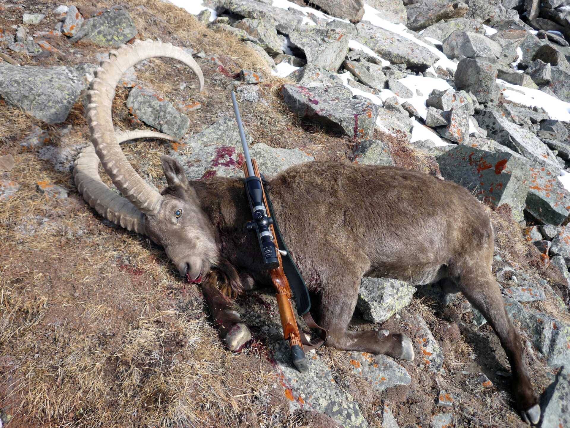 Kirgizisztán vadászat