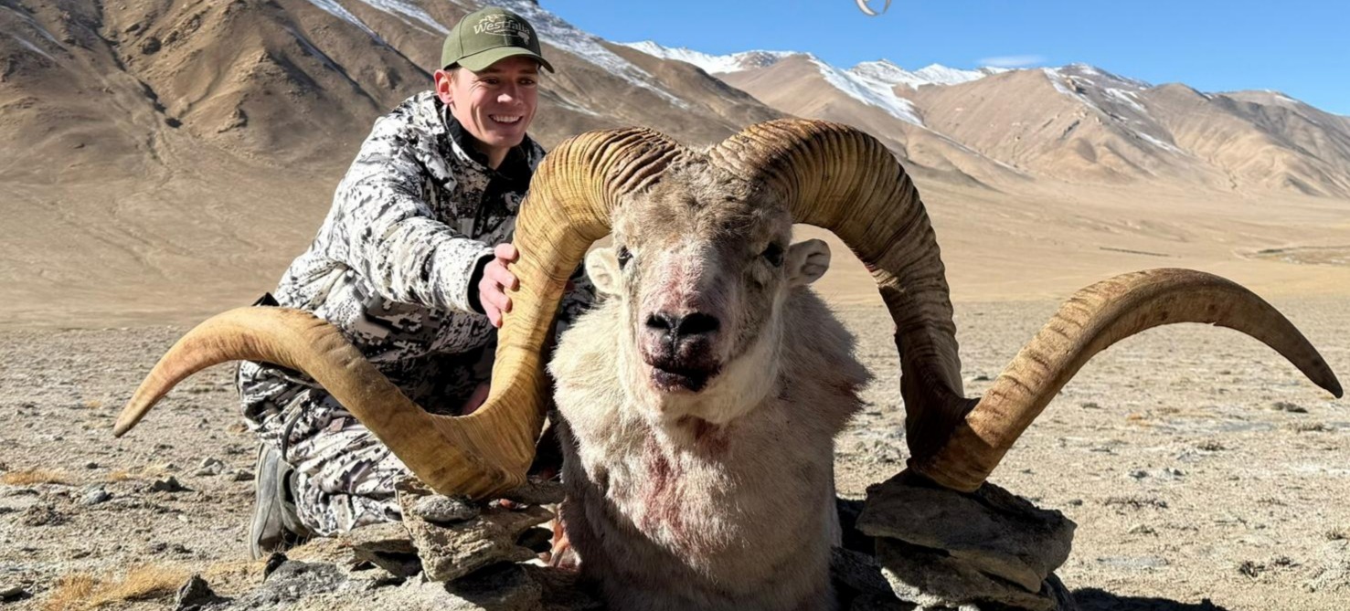 Tádzsikisztán vadászat, marco polo