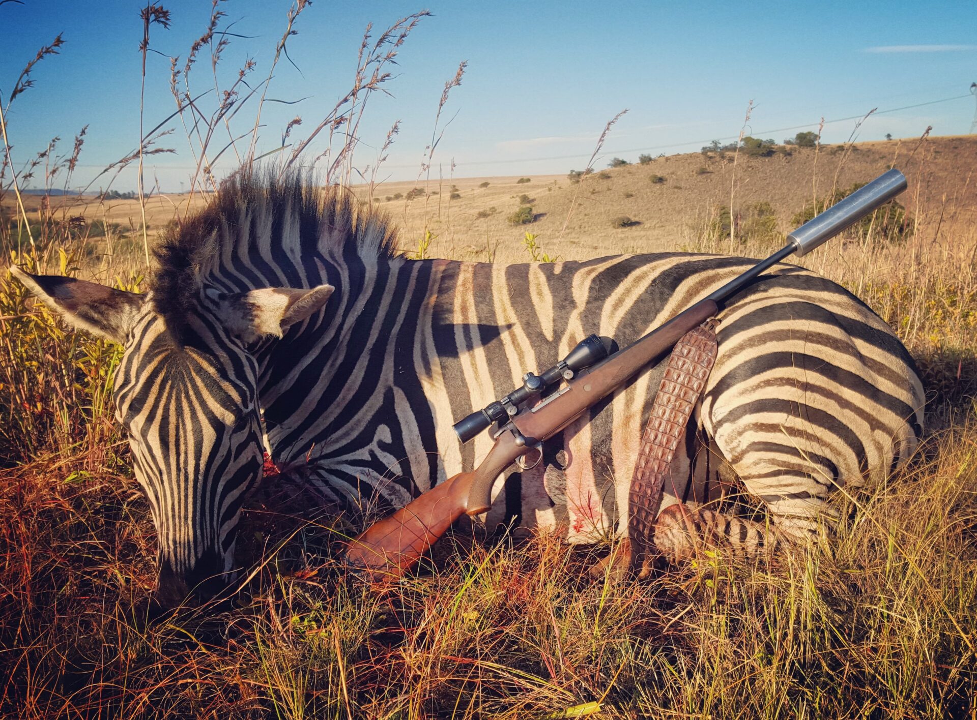 Szabad területi vadászat Dél-Afrikában