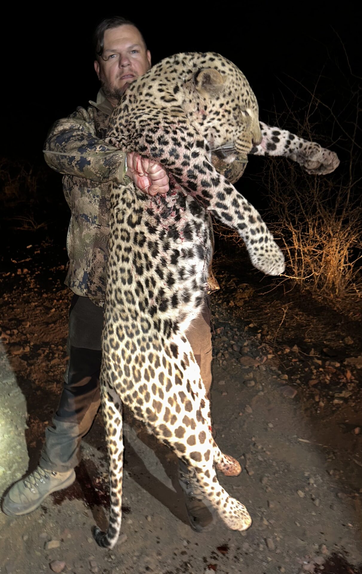 Namíbia oroszlán, leopárd, gepárd vadászat