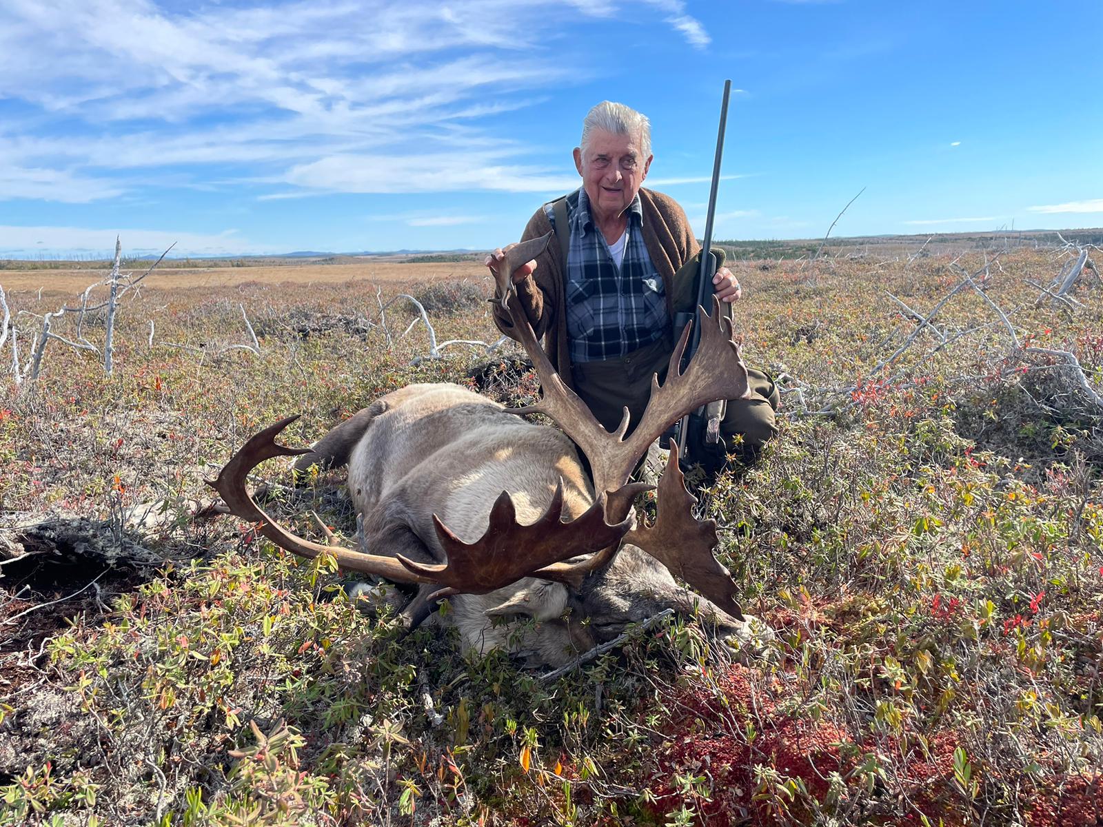 Kanada, Új-Fundland, jávorszarvas vadászat