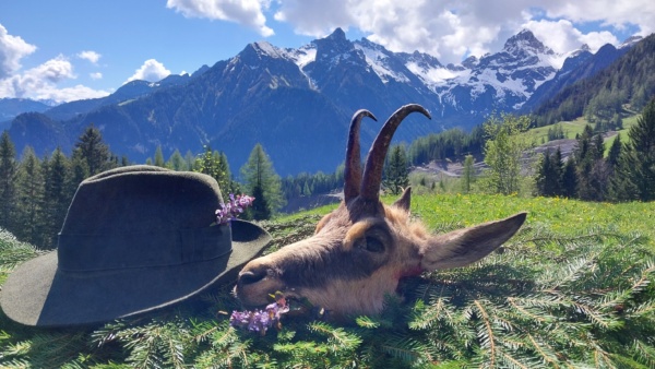 Zerge vadászat Ausztriában