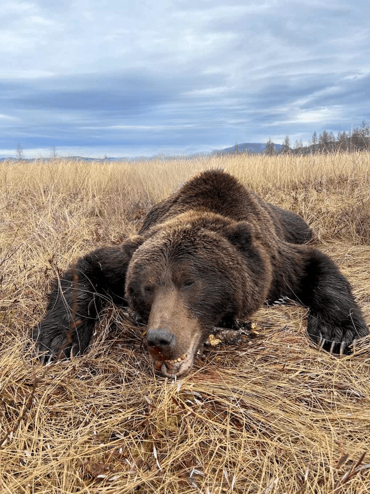 Kamcsatka Barnamedve vadászat