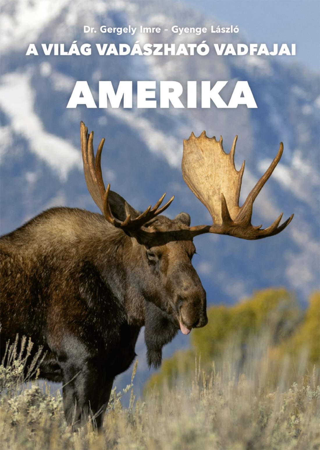 Gergely Imre Amerika